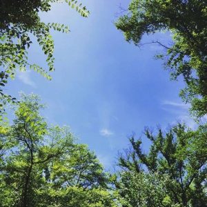 From Instagram ～Summer～