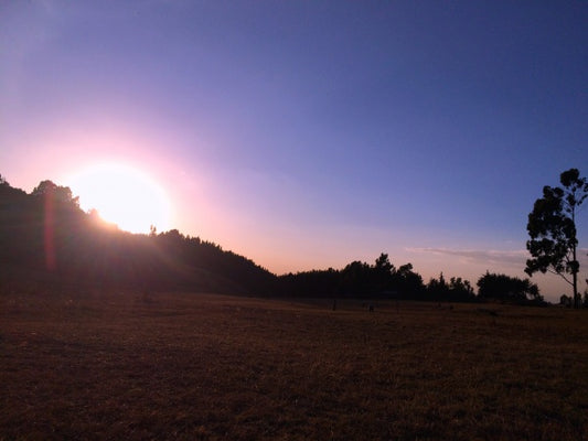 Happy New Year 2016!