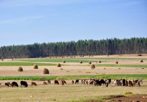 長い旅を経てつながるもの 〜 人間分子の関係、あみ目の法則