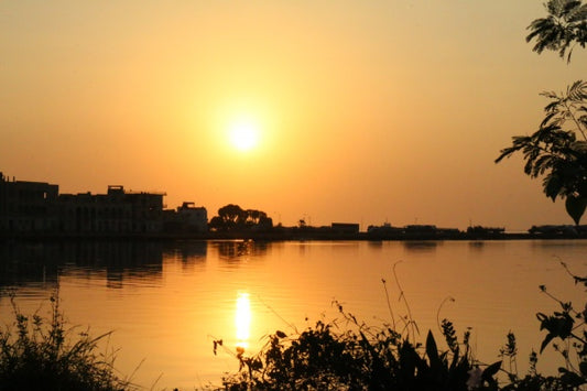 Happy New Year from Red Sea!