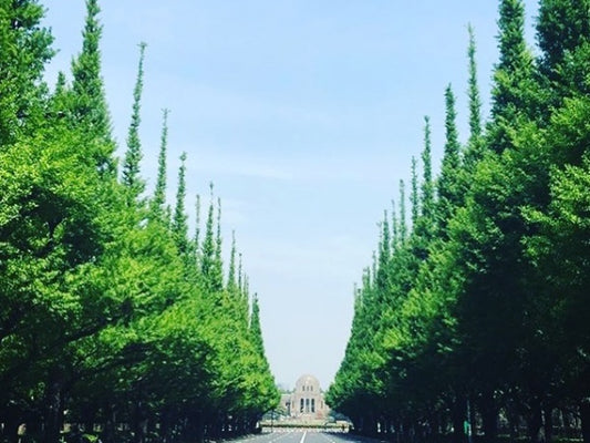 ゴールデンウィーク特別フェアのお知らせ