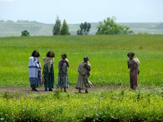 めぐる季節とインスピレーション