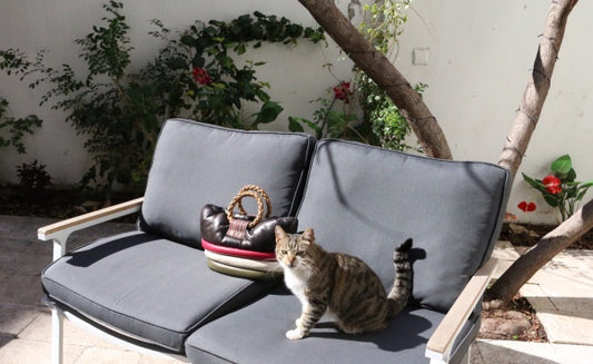 Rule follower ＆ Rule maker