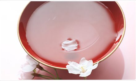 「カンパイ！世界が恋する日本酒」ー支援の形を変えた一人のアクション