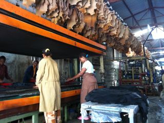 ある日のはなし